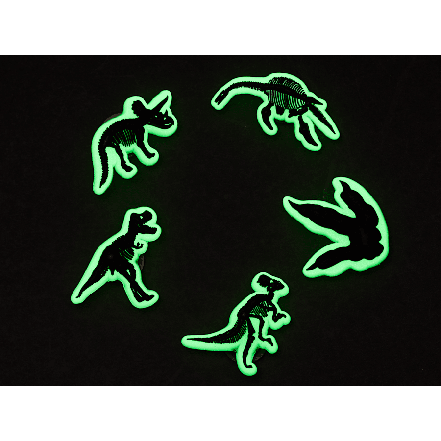 Glow In The Dark Dino 5 Pack Jibbitz Shoe Charm Women|Men|Jibbitz™ Charms Sale