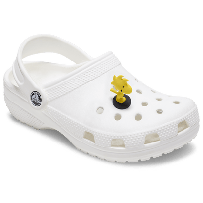 3D Woodstock Jibbitz™ charms - Crocs