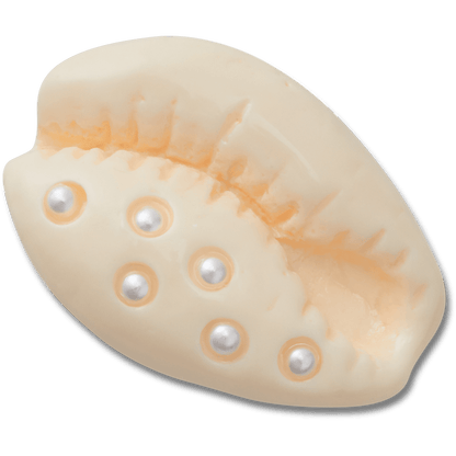 Pearl Puka Shell Jibbitz™ charms - Crocs