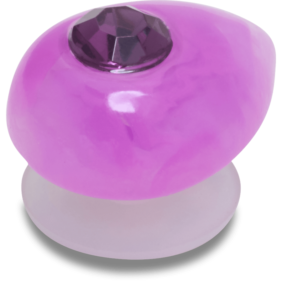 Amethyst February Birthstone Collection Jibbitz™ charms Women|Men|Jibbitz™ Charms Sale