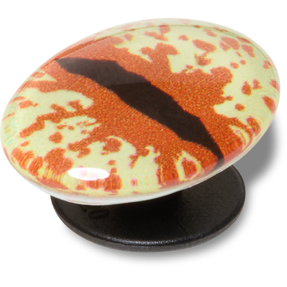 Hazel Animal Eye Jibbitz™ charms - Crocs