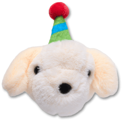 Record Your Own Sound Birthday Jibbitz™ charms - Crocs